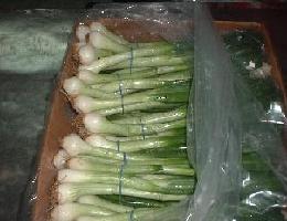 Global B2B directory Global trade lead